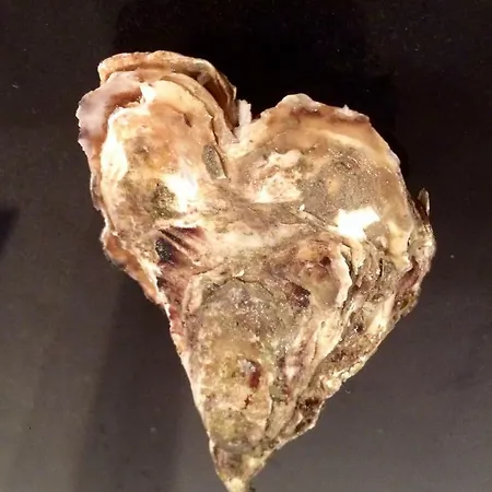 Апартаменты Et Campagne