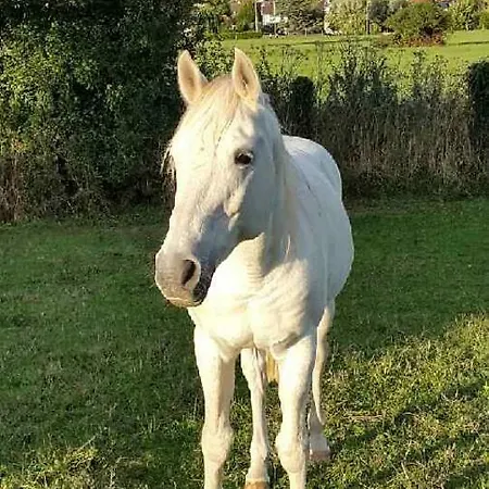 Апартаменты Et Campagne