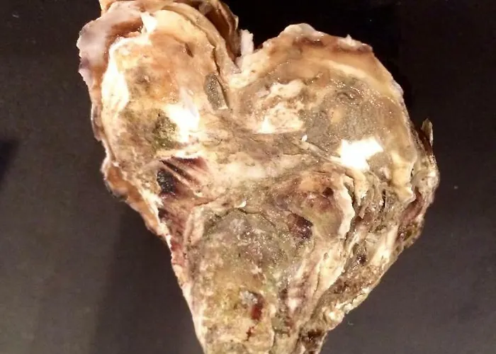 アパート Et Campagne