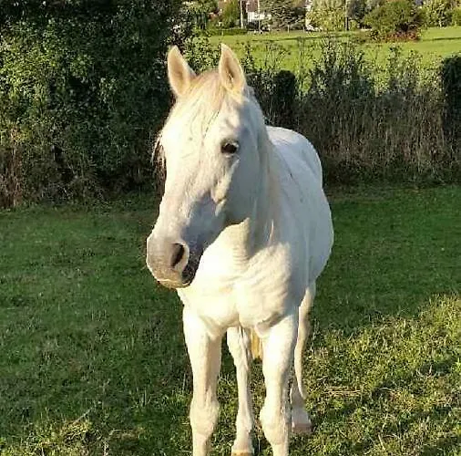 アパート Et Campagne