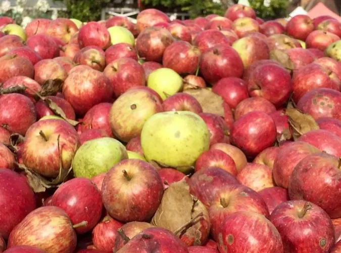 Et Campagne アパート