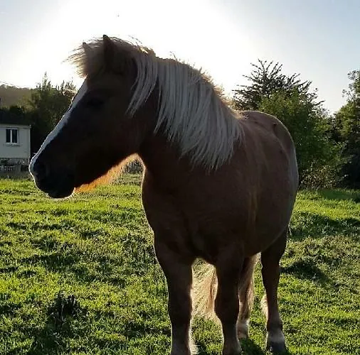 アパート Et Campagne